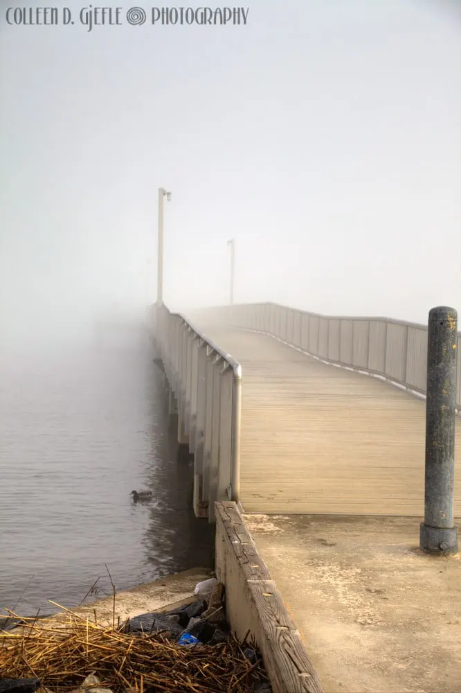 Dock in the fog